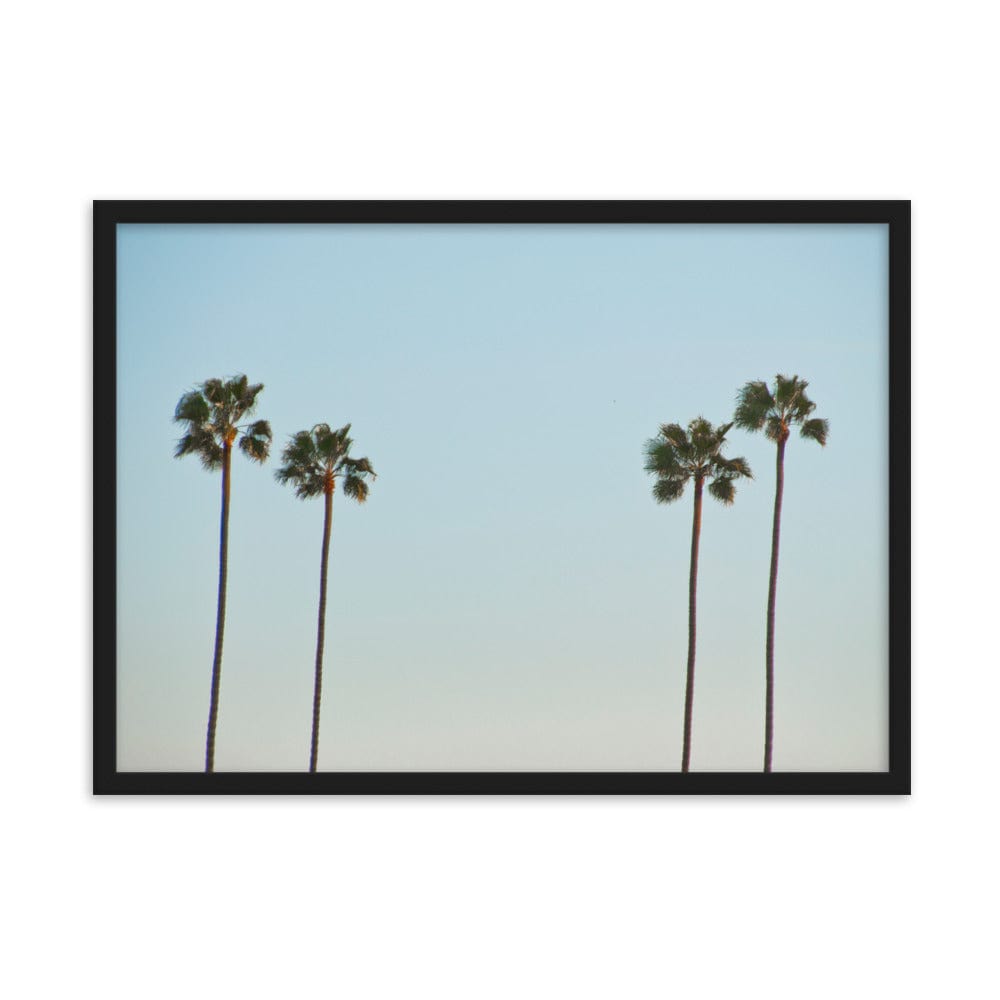 La-Palm-Trees-Photography-enhanced-matte-paper-framed-poster-black-50x70-cm-NK-Iconic