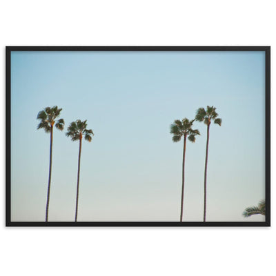 La-Palm-Trees-Photography-enhanced-matte-paper-framed-poster-black-61x91-cm-NK-Iconic
