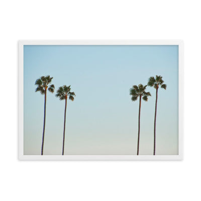 La-Palm-Trees-Photography-enhanced-matte-paper-framed-poster-white-50x70-cm-NK-Iconic
