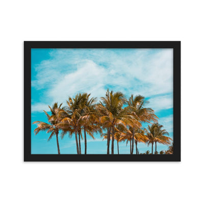 Miami Palm Trees enhanced matte paper framed poster black 30x40 cm transparent