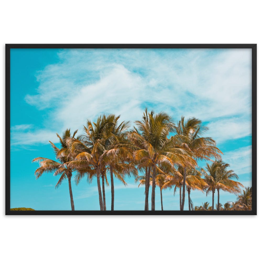 Miami Palm Trees enhanced matte paper framed poster black 61x91 cm transparent