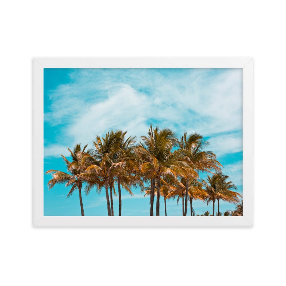 Miami Palm Trees enhanced matte paper framed poster white 30x40 cm transparent