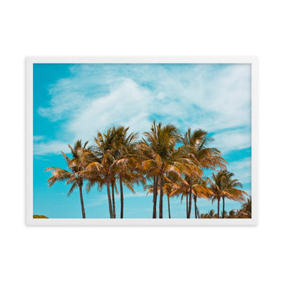 Miami Palm Trees enhanced matte paper framed poster white 50x70 cm transparent