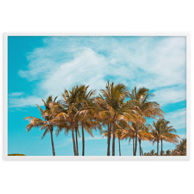 Miami Palm Trees enhanced matte paper framed poster white 61x91 cm transparent