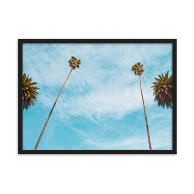 Palm-Tree-Combo-Beverly-Hill-LA-Photography-enhanced-matte-paper-framed-poster-black-50x70-cm-transparent-NK-Iconic